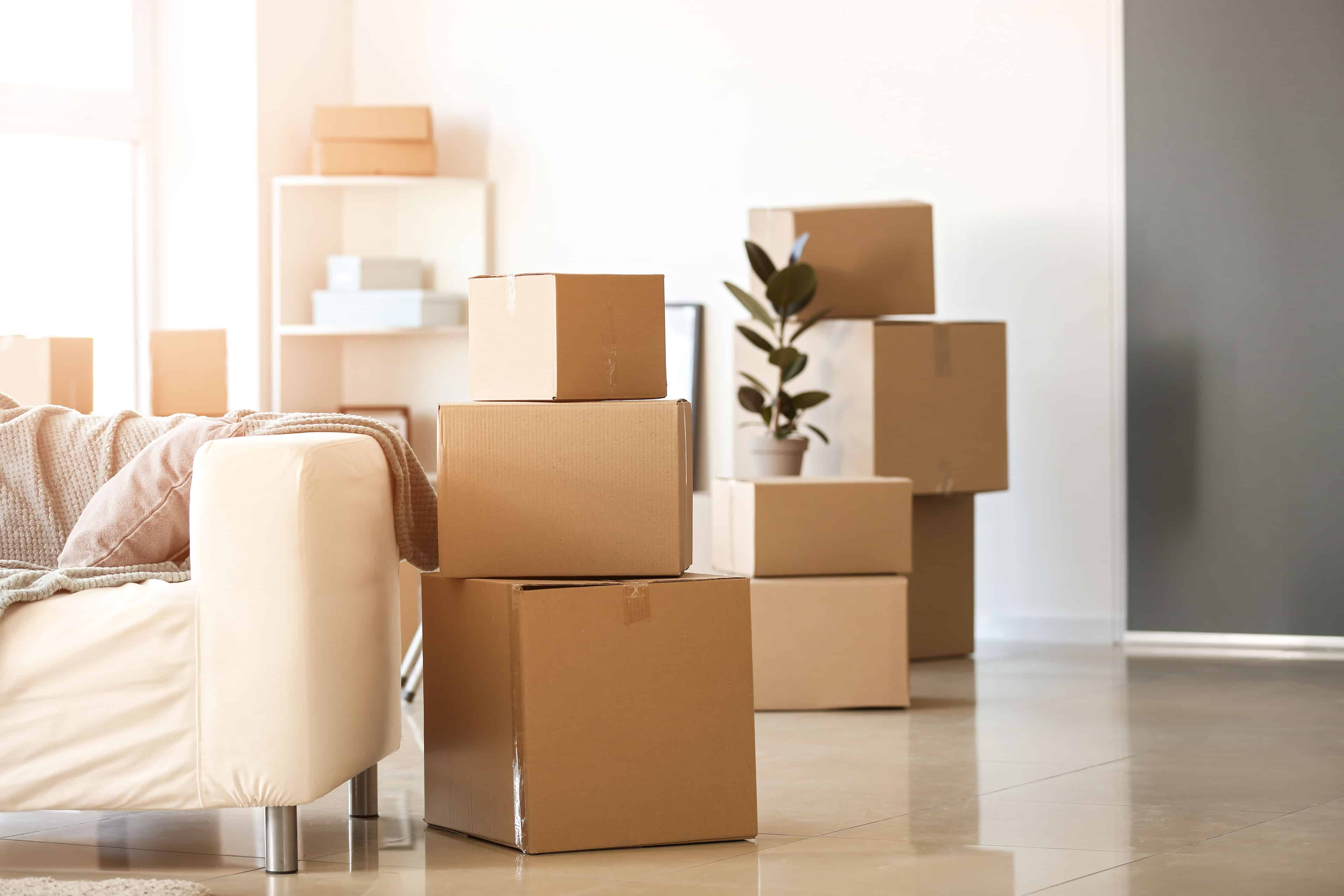 Move-In/Move-Out Cleaning Services image